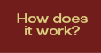 How does it work?